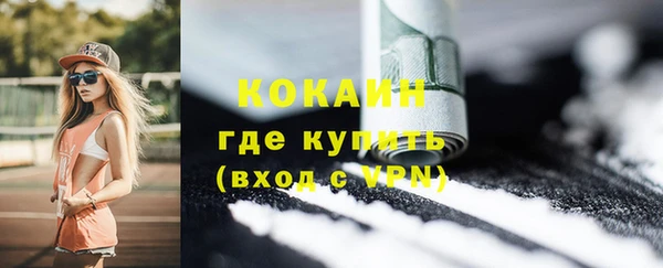 не бодяженный Заводоуковск