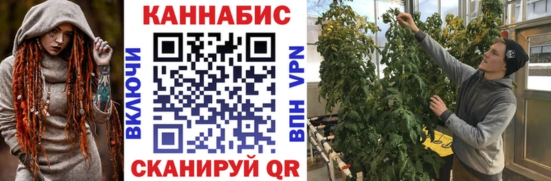 Каннабис Bruce Banner  Купить  Пласт 